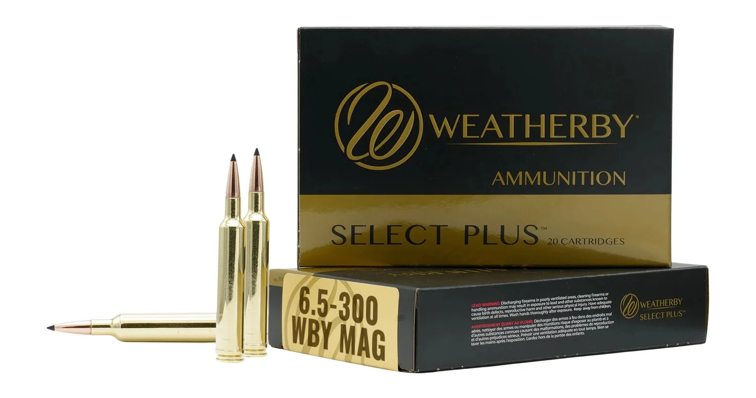 Weatherby 6.5-300 Weatherby Magnum 140gr Brass – 20rd