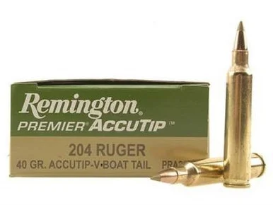 Remington .204 Ruger 40gr Brass – 20rd